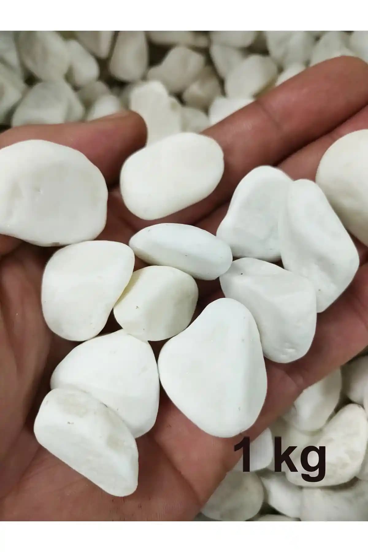 Lampello Beyaz Dolomit Taş: Estetik İç ve Dış Mekan Dekoru