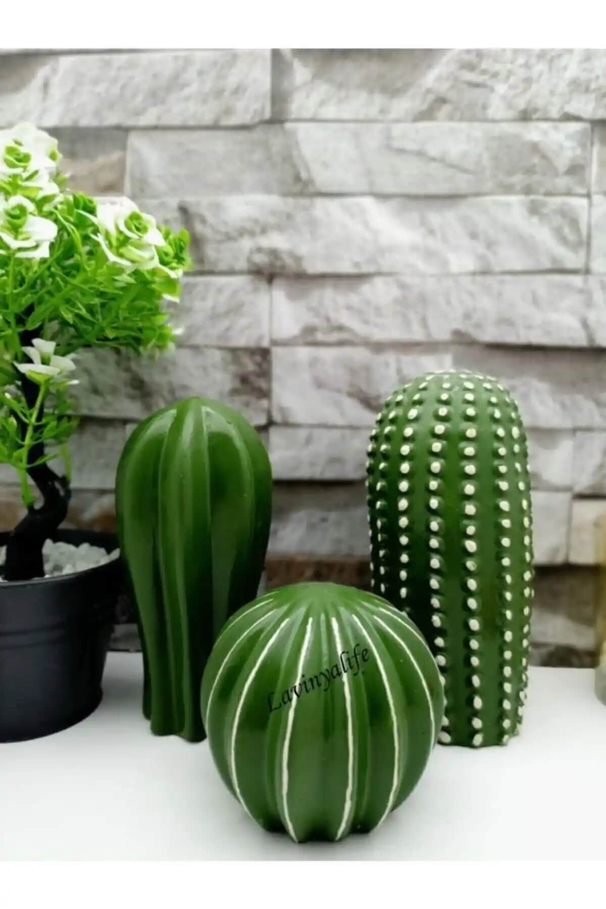 Patienc 3'lü Kaktüs Biblo ile Modern Ve Minimalist Dekorasyon