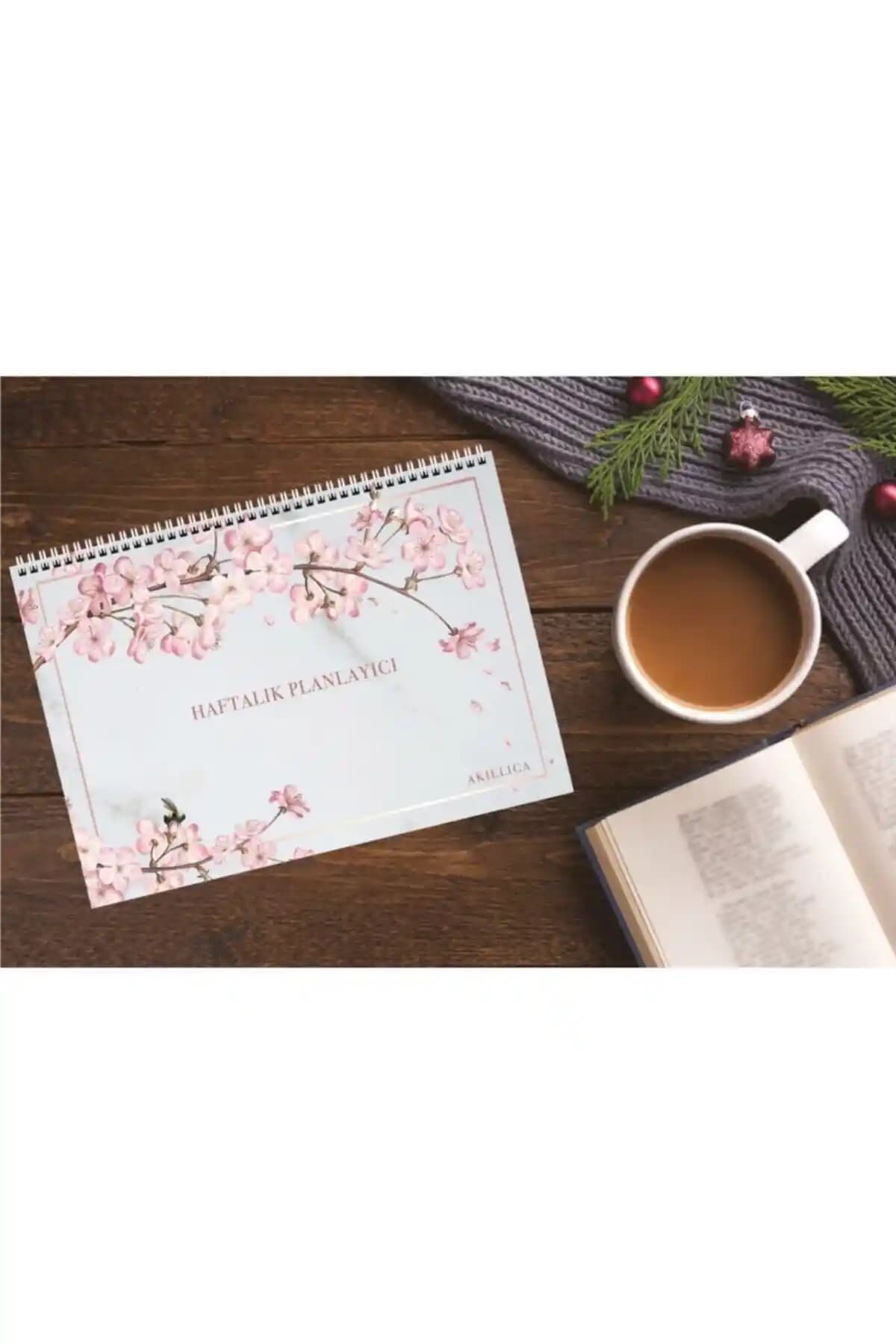 AKILLICA ve markcat Planlayıcı Karşılaştırması: Hangi Ürün Sizin İçin Uygun