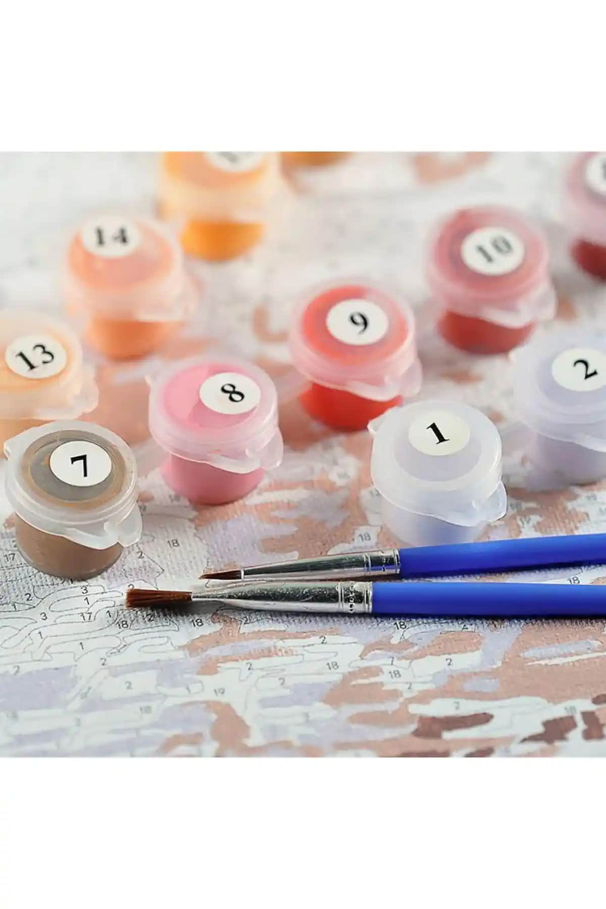 Carmen Sayılarla Boyama Seti ve Palmiye Hobi Sanat Kırtasiye Karşılaştırması