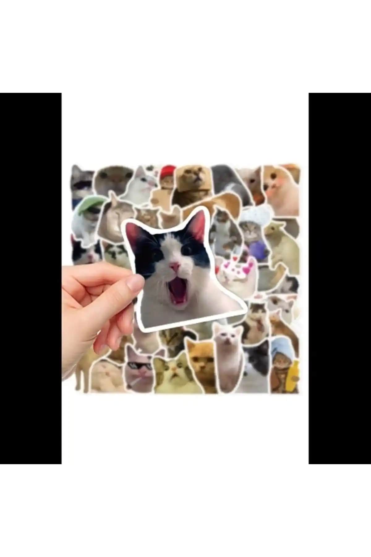 Kedi Temalı Sticker Setleri Karşılaştırması: Eğlenceli ve Dayanıklı Seçenekler