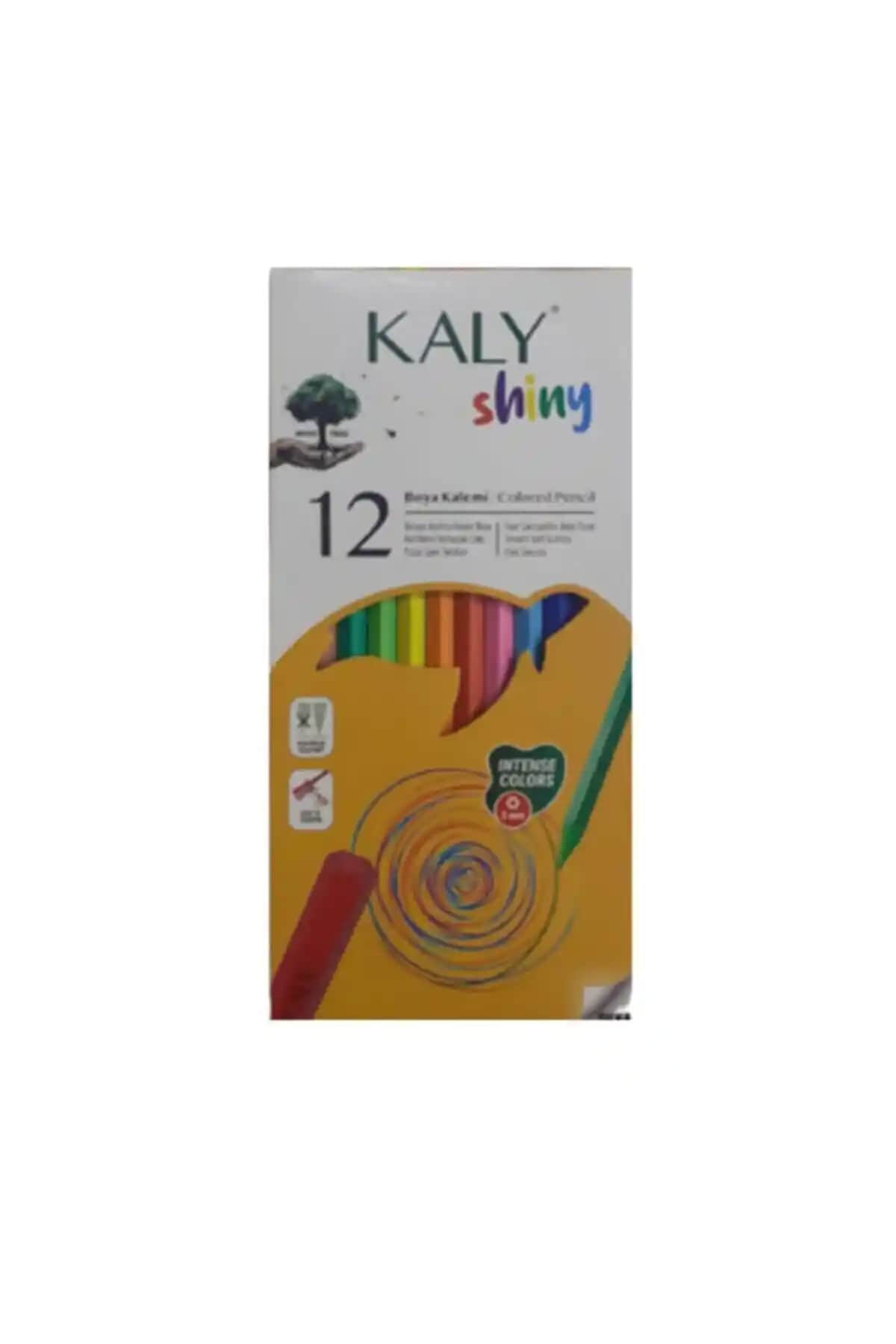 Gıpta Silka Kaly Shiny 12 Renk Boya Kalemi: Yaratıcı Sanat ve Hobi Malzemeleri