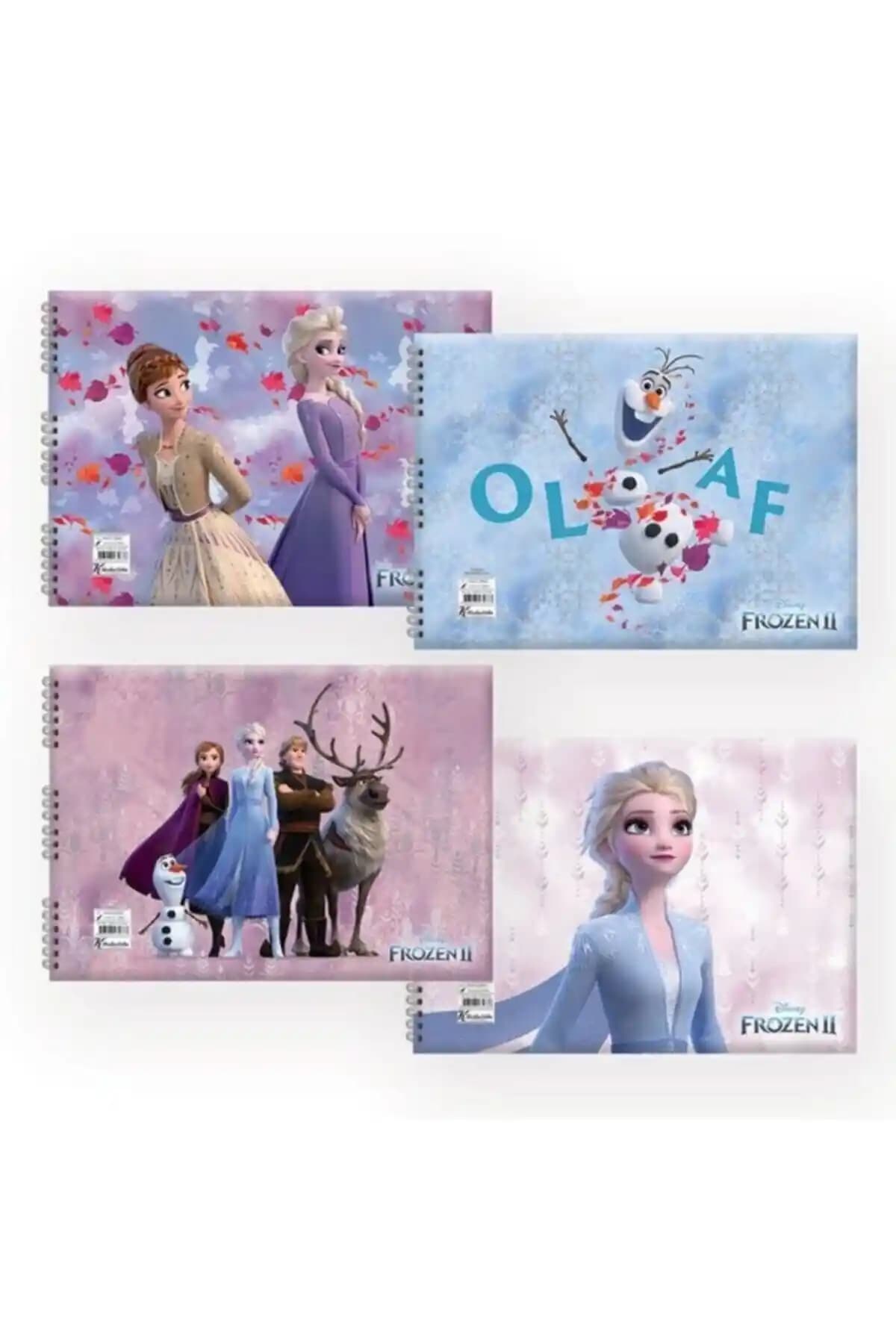 Keskin Color Frozen 17x25 Cm Spiralli Resim Defteri 15 Yaprak, Taşınabilir ve Şık Tasarım