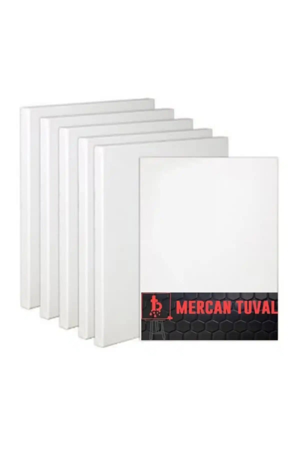 Mercan Tuval 35x50 Cm 5'li Paket Sanat ve Yaratıcılık İçin Uygun Kaliteli Malzeme