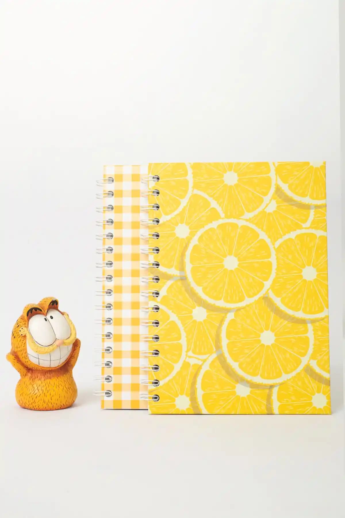 Paperlab A5 Limon Desenli ve Fresh Defter: Şık ve Dayanıklı Okul ve Not Defteri