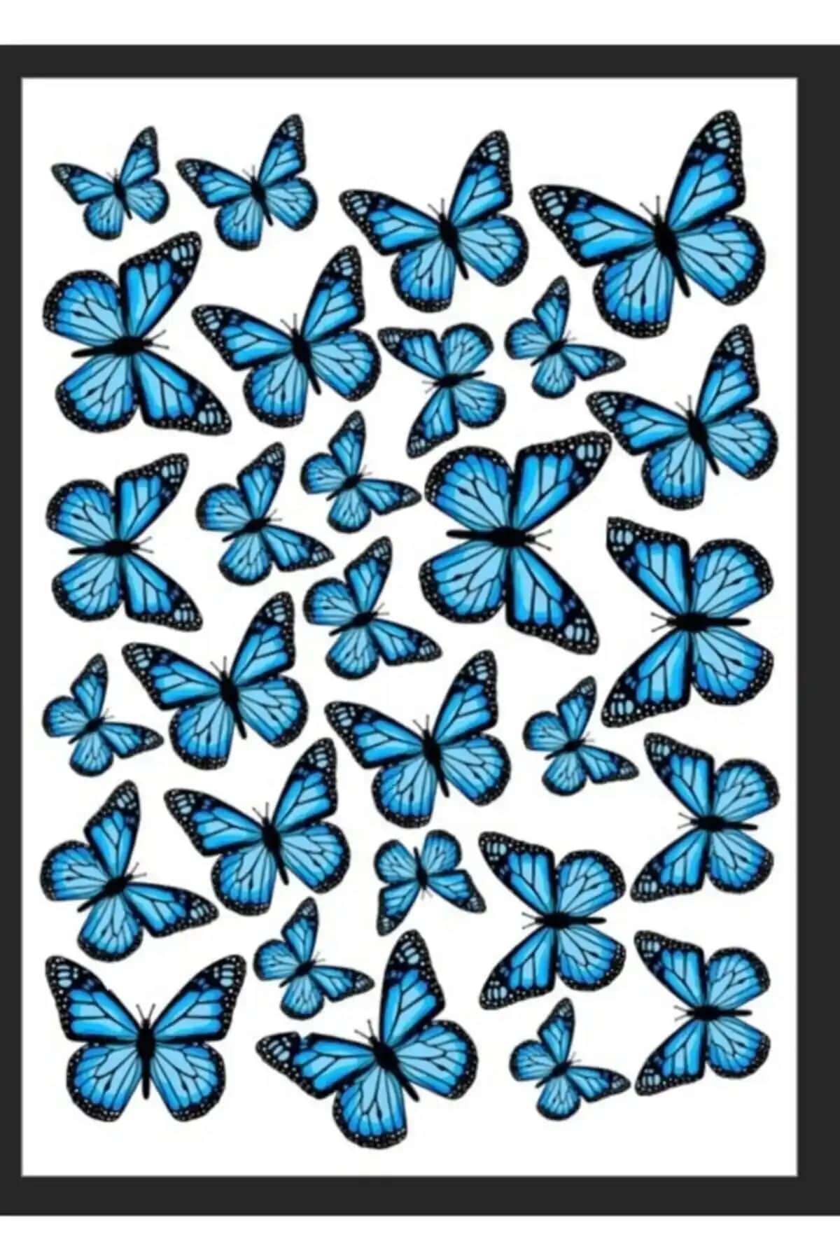 SEVVOM Mavi Kelebek Yenilebilir Pasta ve Kurabiye Süsleme Kağıdı Ürün İncelemesi