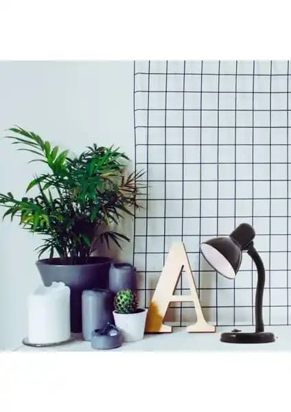 Avec ve Cata Spiralli Masa Lambası Karşılaştırması: Tasarım, Özellikler ve Kullanıcı Yorumları