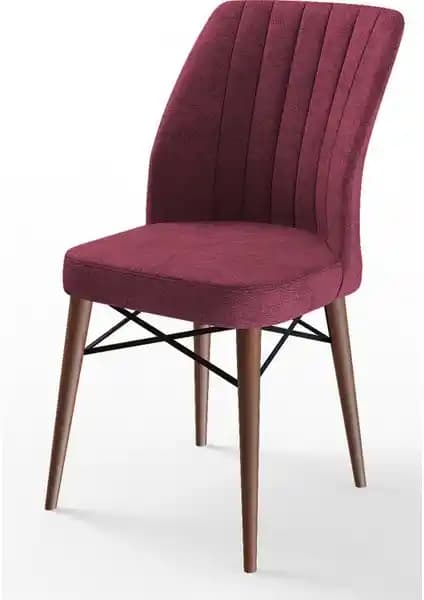 Canisa Flex ve Pefa Serisi Modern Mutfak Sandalyeleri Karşılaştırması