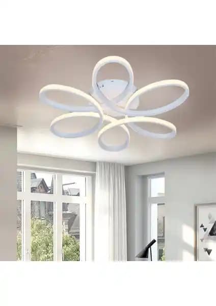 Elektroyou ve Legacy Rings Modern Tavan Aydınlatma Seçenekleri Karşılaştırması