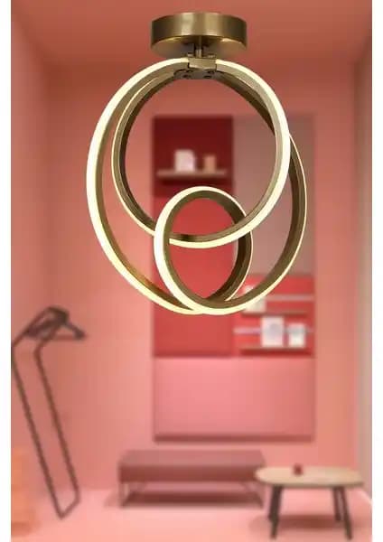 İki Farklı Tavan Avize Modelinin Detaylı Karşılaştırması ve Seçim Rehberi