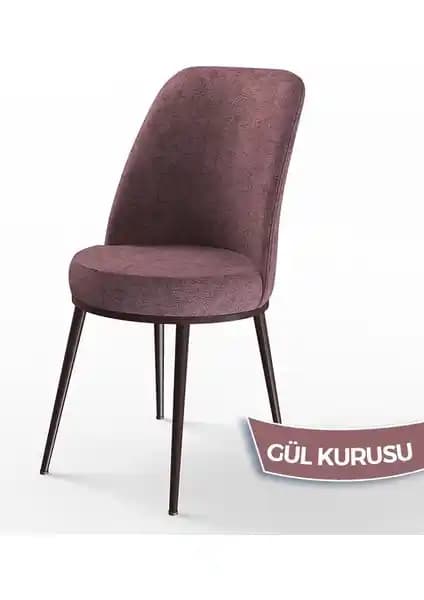 Mutfak Sandalyesi Karşılaştırması: Canisa Dexa Serisi ve Lumodi Elma Keten Modelleri