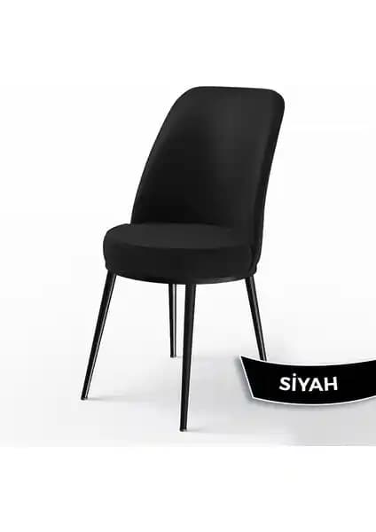 Mutfak ve Oturma Alanları İçin Canisa Dexa Serisi ve Yılmaz Masacılık Sandalye Karşılaştırması