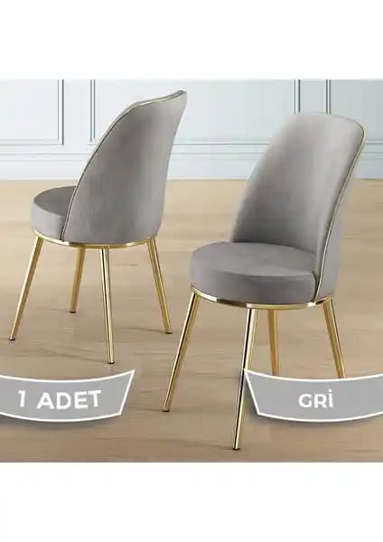 Canisa Pefa Serisi Mutfak Sandalyesi: Şık Tasarım ve Yüksek Konfor Sunan Modern Model