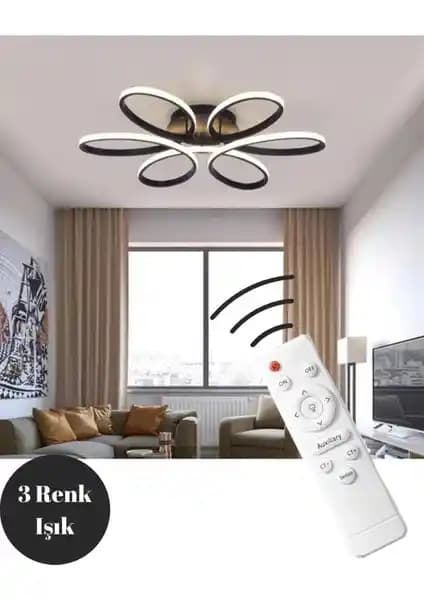 Rarossa Nipul Siyah Plafonyer Modern ve Şık Tasarımıyla İç Mekan Aydınlatma Çözümü