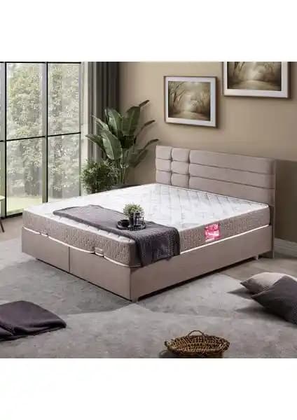 Setay Viyana İkili Çift Kişilik Baza Başlık Modern Tasarım ve Dayanıklılık Özellikleriyle