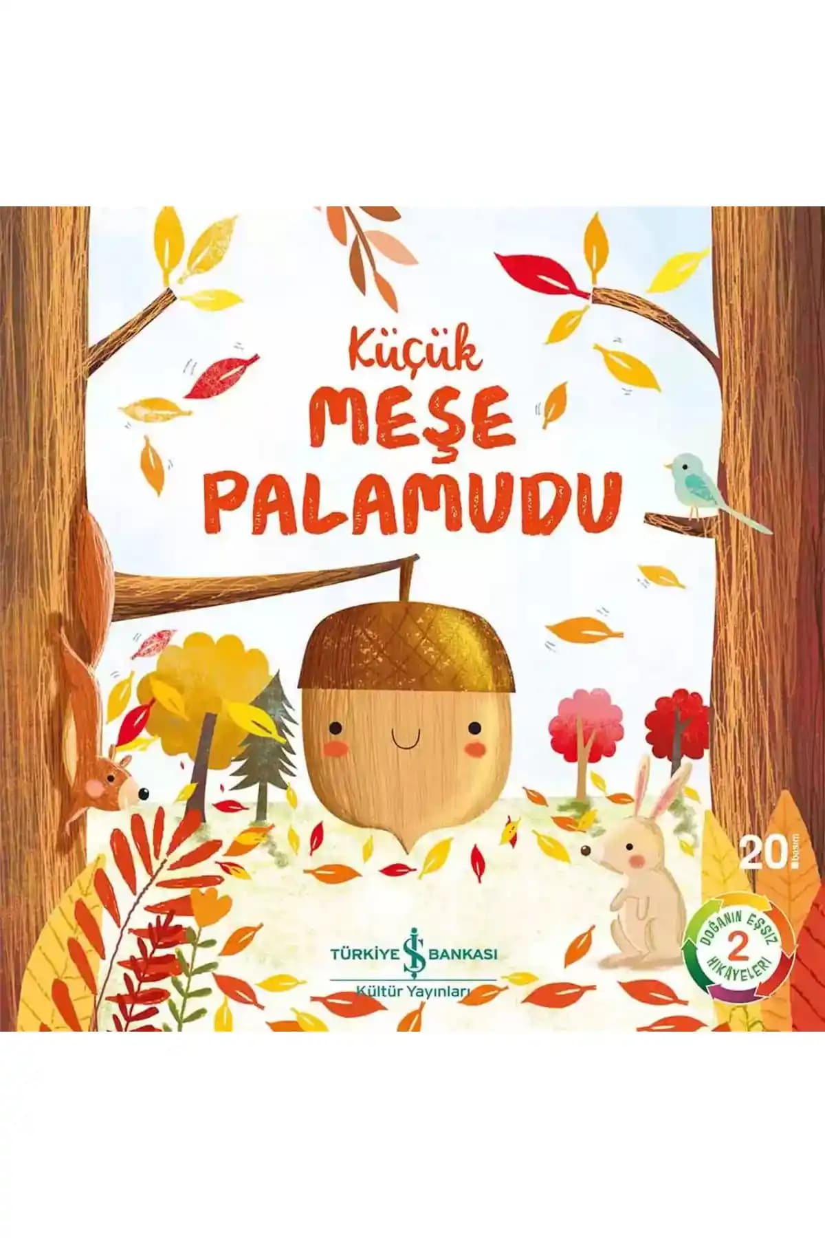Çocuk Kitapları Karşılaştırması: Küçük Meşe Palamudu ve Utangaç Ayı Monti