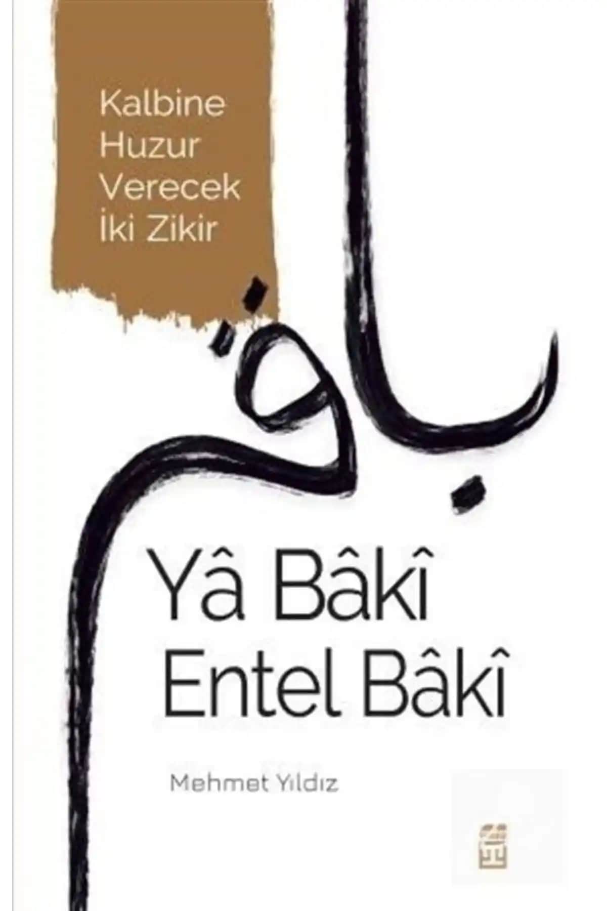 Timaş Yayınları İki Eserinin Detaylı Karşılaştırması ve Okuyucu Yorumları