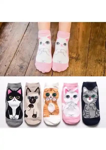 Çorap Kurdu 5'li Sevimli Kedi Desenli Patik Çorap Renkli ve Konforlu Yazlık Tasarım