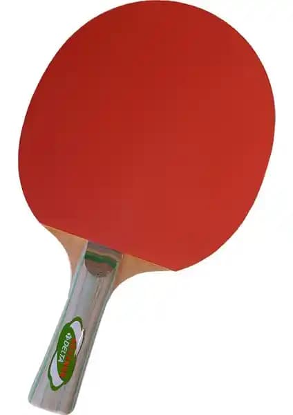 Delta Advance Masa Tenisi Raketi: Performans ve Dayanıklılığı Bir Arada Sunan Seçenek