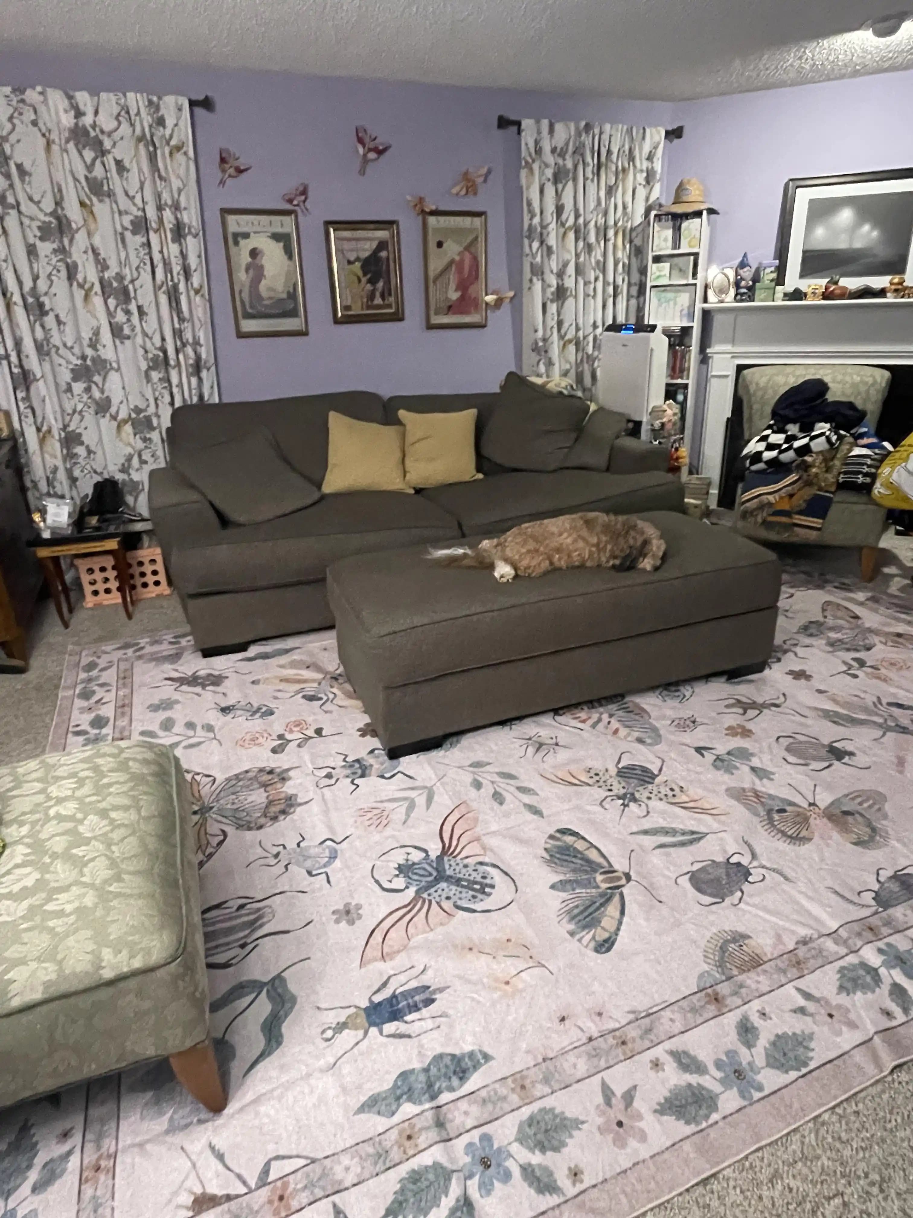 Lavanta Duvarlar ve Gri Mobilyalarla Uyumlu Halı Seçimi İçin Renk ve Desen Rehberi