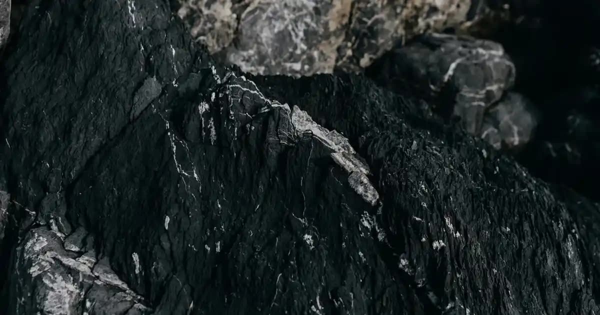 2020 Yılında Popüler Tekli Avize Modelleri ve Dekorasyona Katkıları