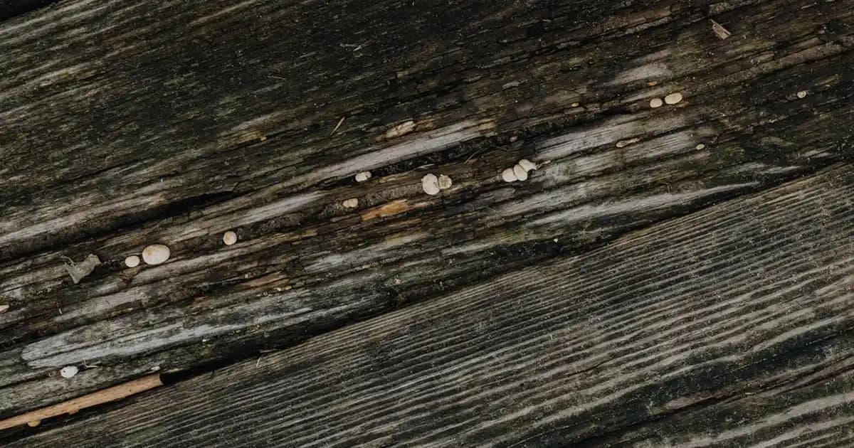 25x35 Çerçeve Modelleri ve Dekorasyon İçin En Uygun Seçenekler