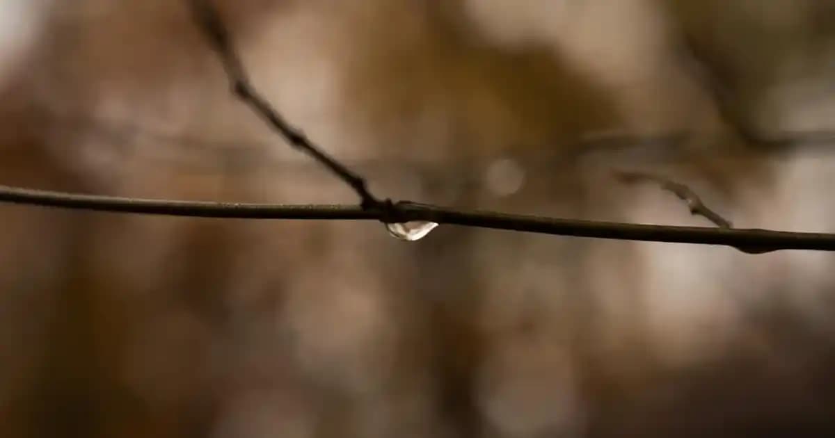 2025'te Abajur İskeletleriyle Dekorasyonunuzu Baştan Yaratın