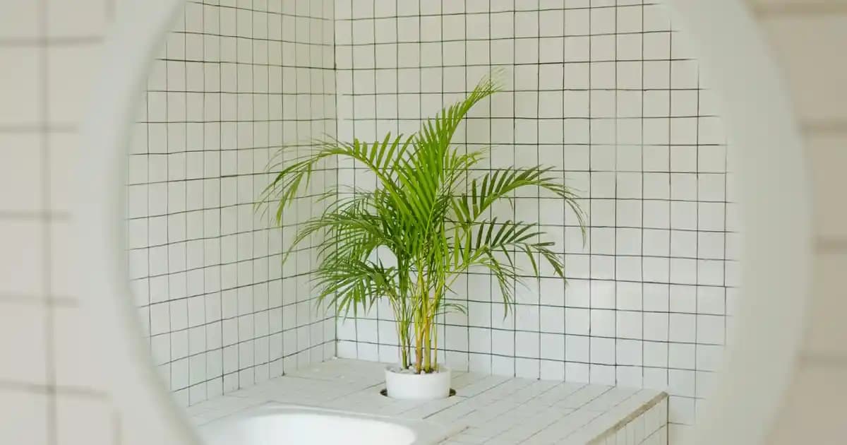 Açılan Orta Sehpa Modelleri ve Dekorasyonda Kullanım İpuçları