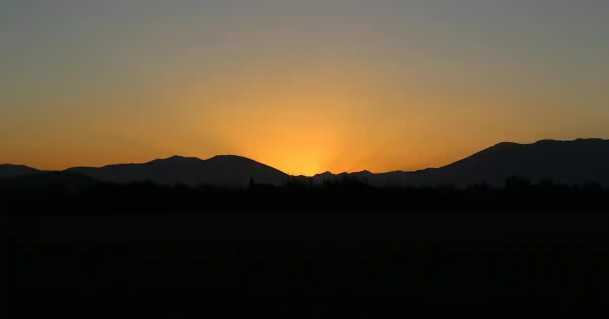 Ahşap Çocuk Yatak Modelleri: Dekorasyonda Doğal ve İşlevsel Çözümler