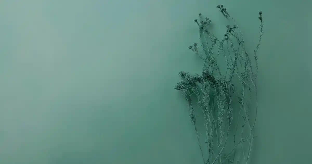 Ahşap Lambaderler ile Ev Dekorasyonunda Doğal ve Şık Bir Dokunuş Yaratın