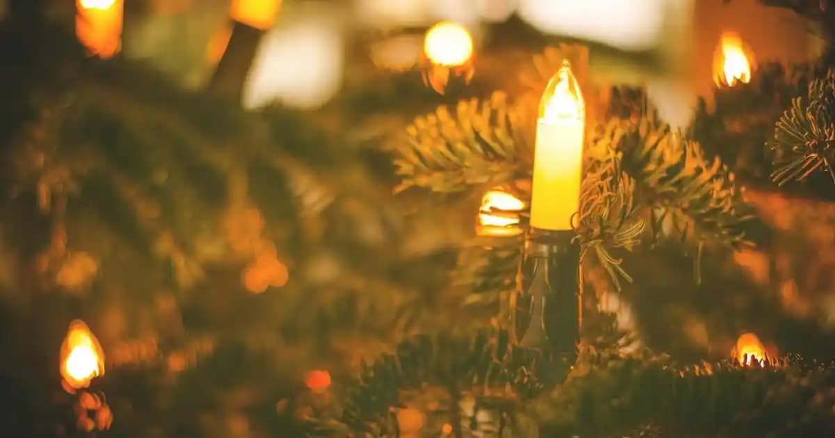 Ahşap ve Cam Sehpa Modelleriyle Dekorasyonunuza Şıklık Katın