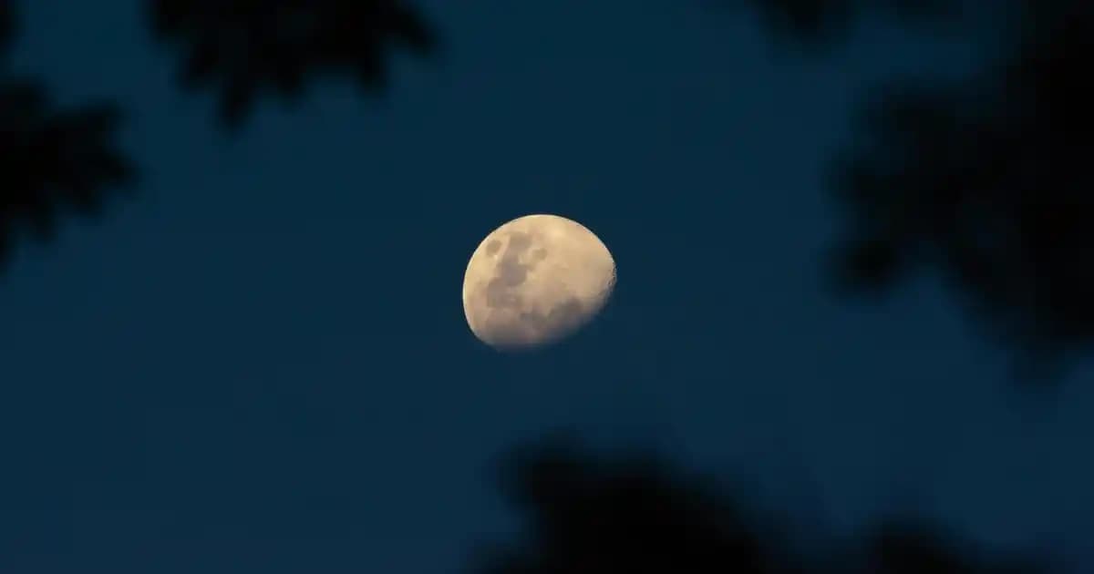 Ahşap Yemek Masası Seçimi ve Dekorasyon İpuçlarıyla Evinize Zarif Dokunuşlar