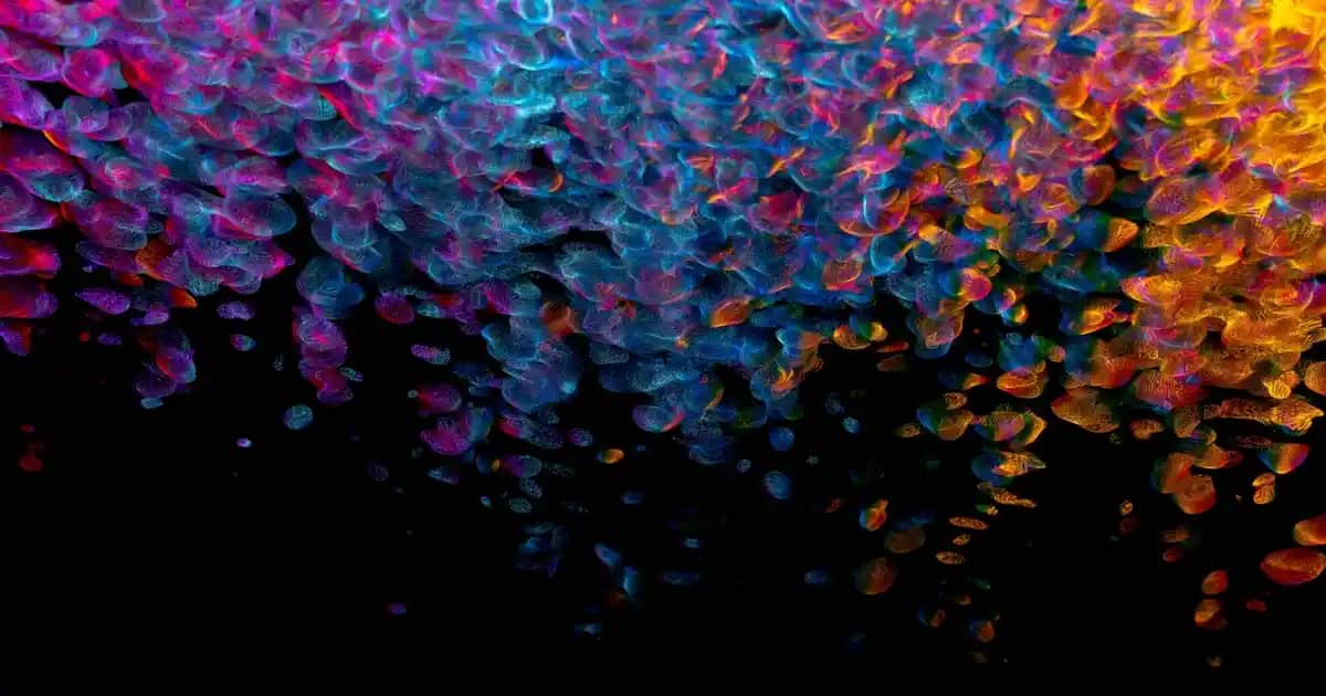 Akvaryum Dekorasyonu Seçenekleri ve Balıklarınız İçin En Uygun Tasarımlar