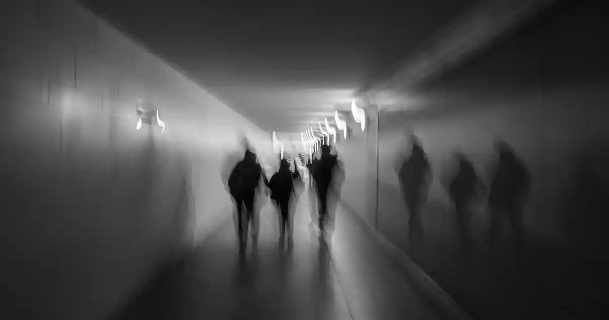 Avize Aksesuarlarıyla Mekan Dekorasyonunda Estetik ve İşlevsellik Artırma