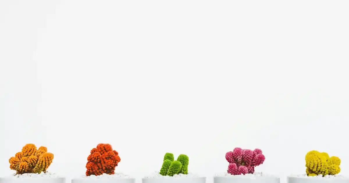 Avize Camları Fiyatları ve Modelleri: Dekorasyonda Şıklık ve Uygun Seçenekler