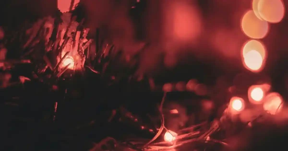 Avize Satın Alırken Dikkat Edilmesi Gerekenler ve Dekorasyonda Kullanım İpuçları