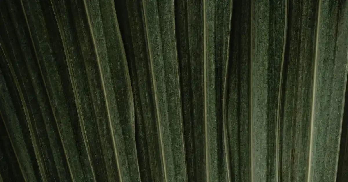 Avize Tasarımında Yenilikler ve Trendler: Modern, Klasik ve Özel Seçenekler