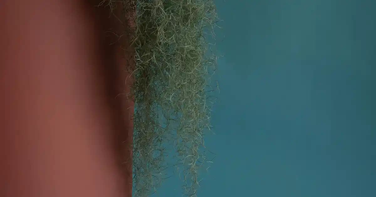 Aynanın Gerçek Rengi ve Dekorasyonda Kullanım İpuçları