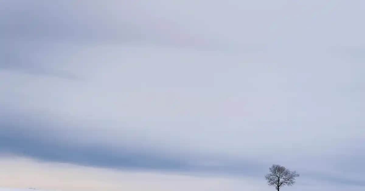 Balkon Dekorasyonunda Kullanılan Balkon Kilimleri ile Şık ve Dayanıklı Alanlar Yaratın