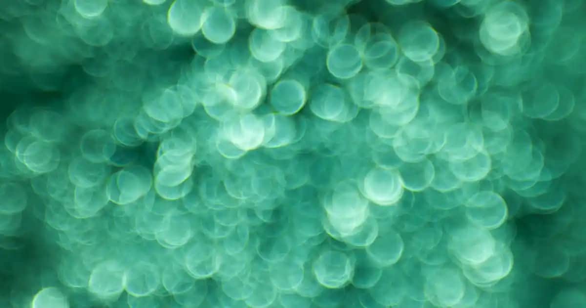 Balkon İçin Katlanabilir Masalar: Fonksiyonel ve Şık Seçenekler Rehberi