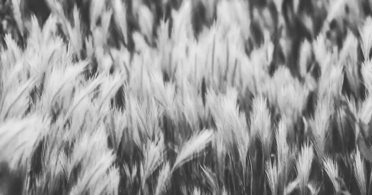 Bambu Rattan Sandalye ile Dekorasyonunuzu Doğal ve Şık Bir Şekilde Zenginleştirin