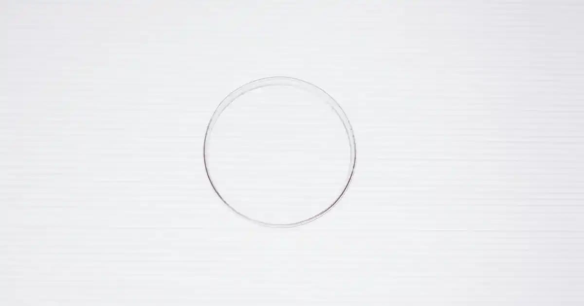 Bambu Tekli Koltuk ile Doğal ve Şık Dekorasyon Çözümleri