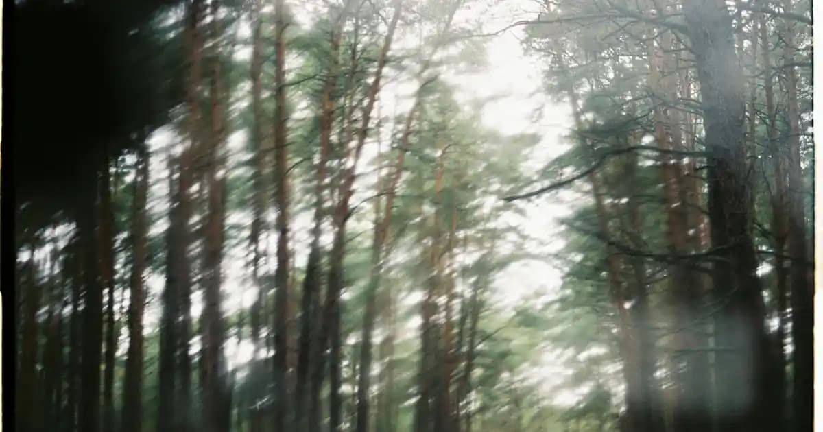 Banyo Aynası Seçimi ve Dekorasyonunda Dikkat Edilmesi Gerekenler