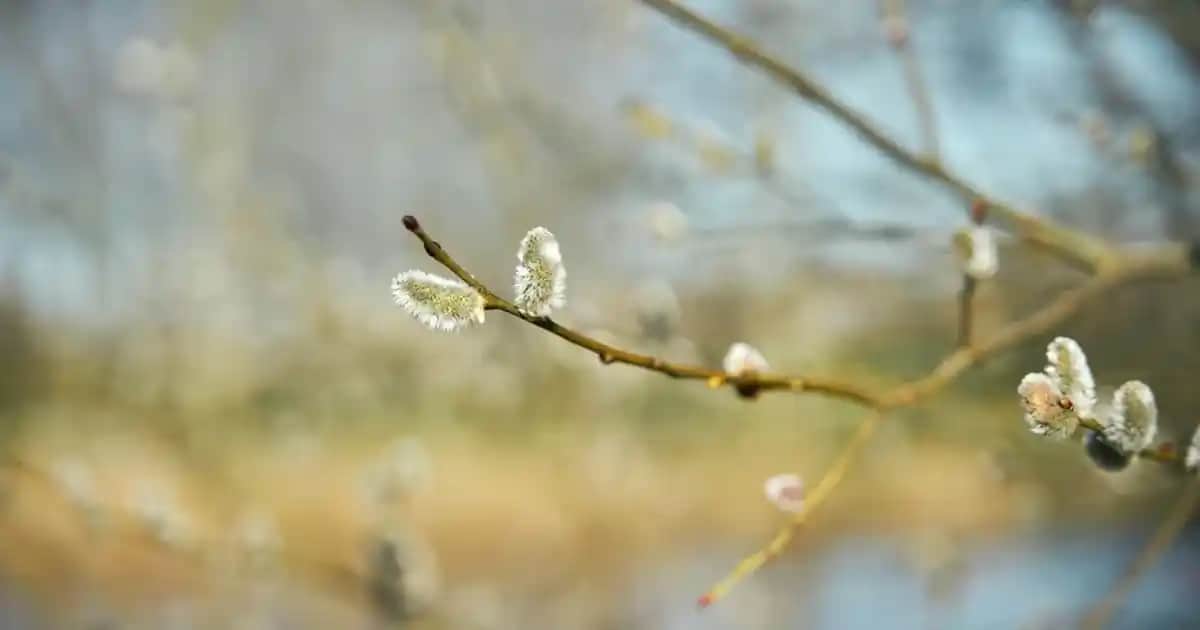 Barbie Ev Mobilyaları ile Çocukların Hayal Dünyasını Geliştiren Dekorasyon Seçenekleri