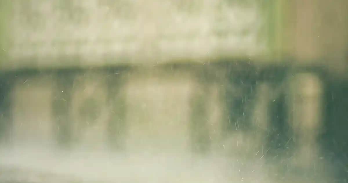 Baskılı Yastık Kılıfı ile Evinize Renk ve Kişisel Dokunuş Katın