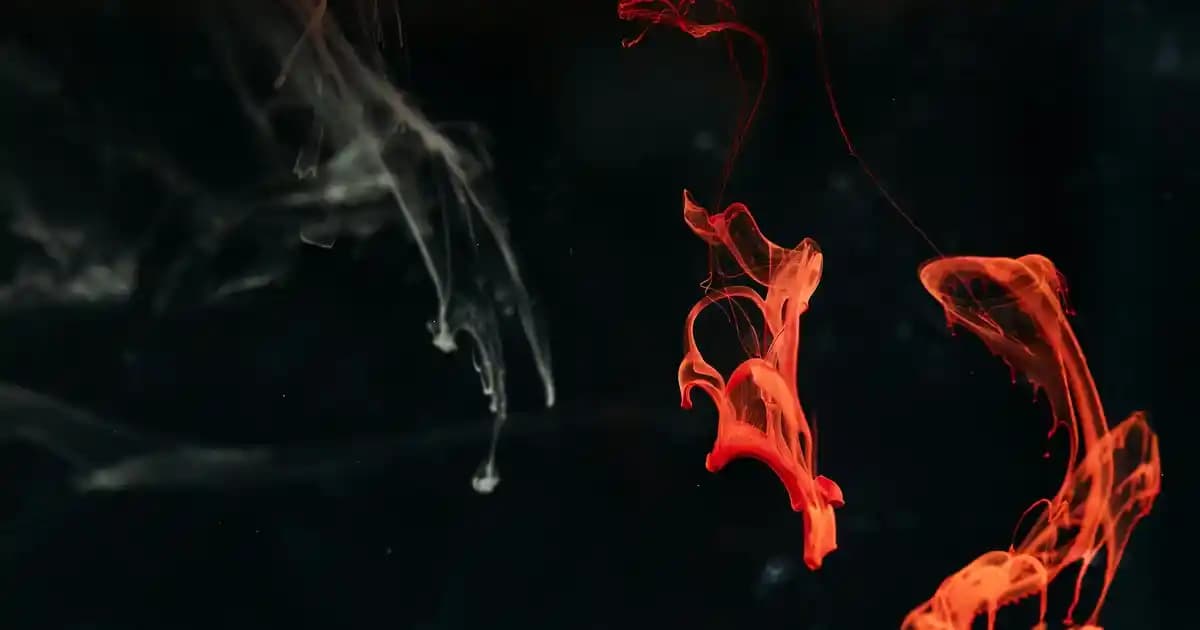 Baza Eteği Modelleri ve Dekorasyon İçin En Uygun Seçenekler Hakkında Kapsamlı Rehber