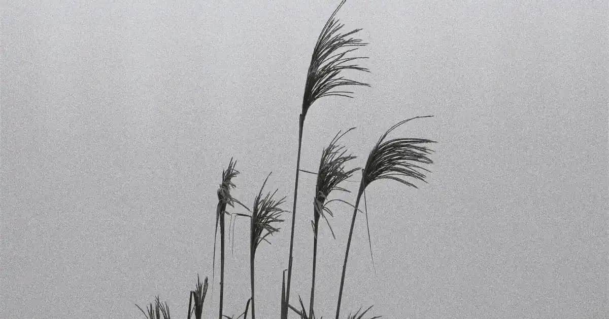 Bebek Battaniyesi İçin En Uygun İp Seçenekleri ve Dekoratif Dokunuşlar