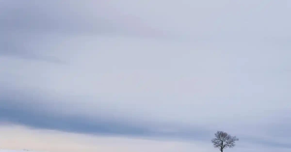 2025'te Bellona Visko Yastıklarla Konfor ve Şıklıkta Fark Yaratın