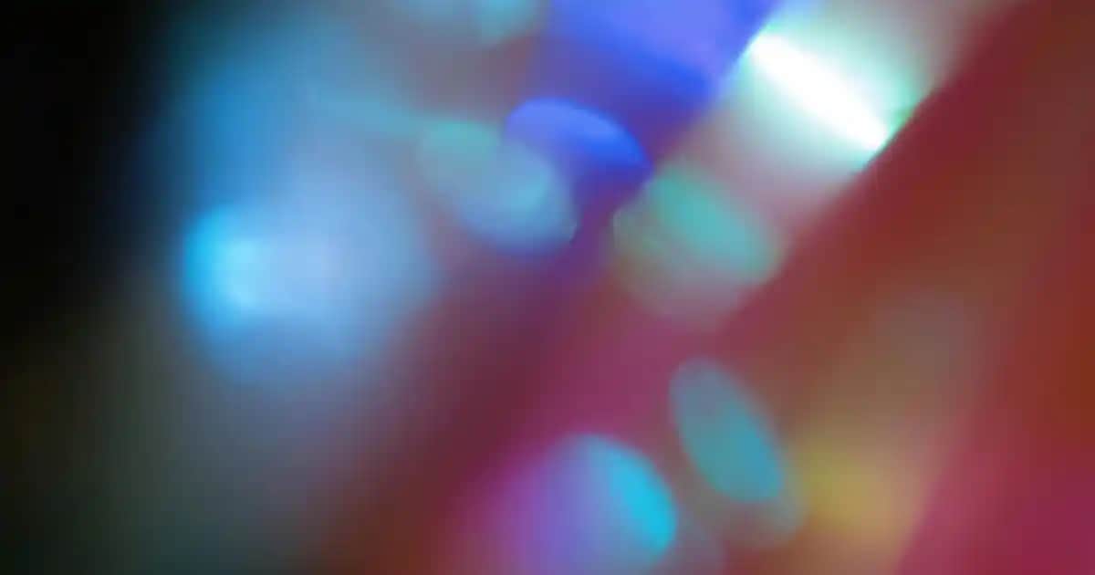 Beyaz Porselen Vazolar ile Dekorasyonunuzu Şıklık ve Zarafetle Tamamlayın