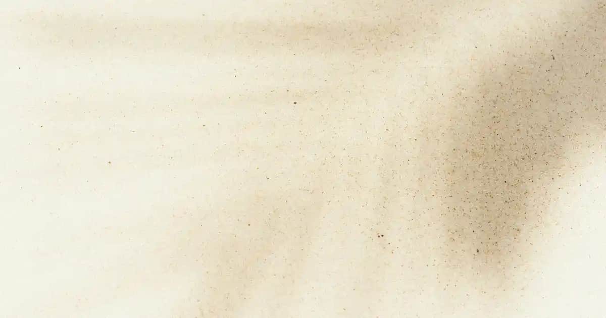Beyaz Vazo Modelleri ile Dekorasyonda Zarafet ve Şıklık Yaratın